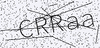 captcha verification